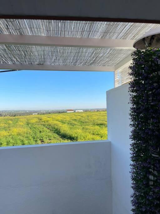 Mourão Casa Da Oliveira 빌라 외부 사진